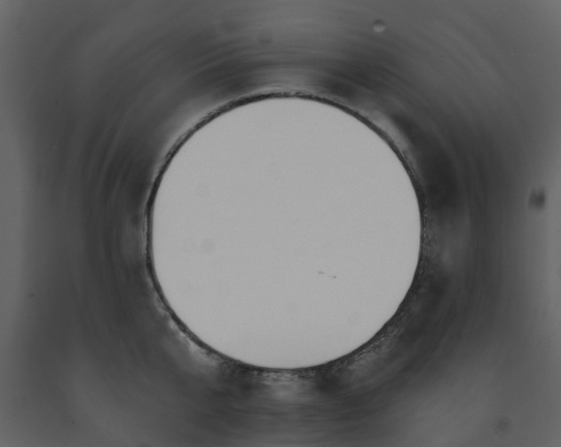 X0000091730807200708241411