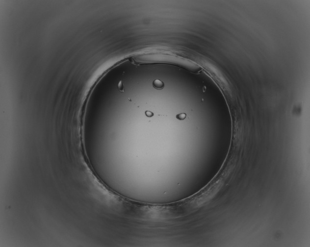 X0000091730808200708241411