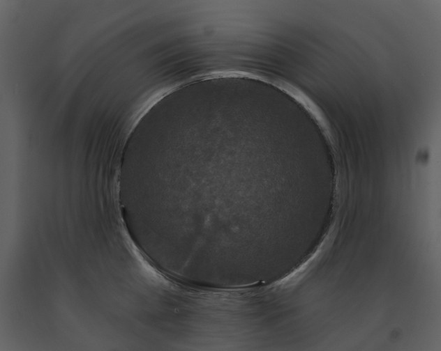 X0000091730809200708241411