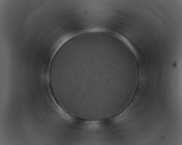 X0000091730810200708241411