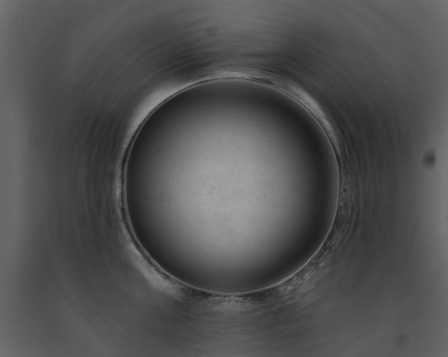 X0000091730811200708241411