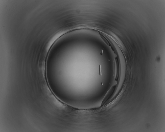 X0000091730812200708241411