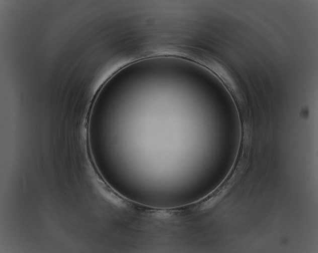 X0000091730814200708241411