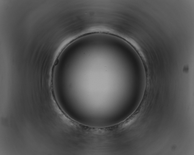X0000091730815200708241411