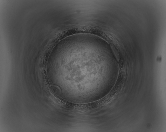 X0000091730817200708241410