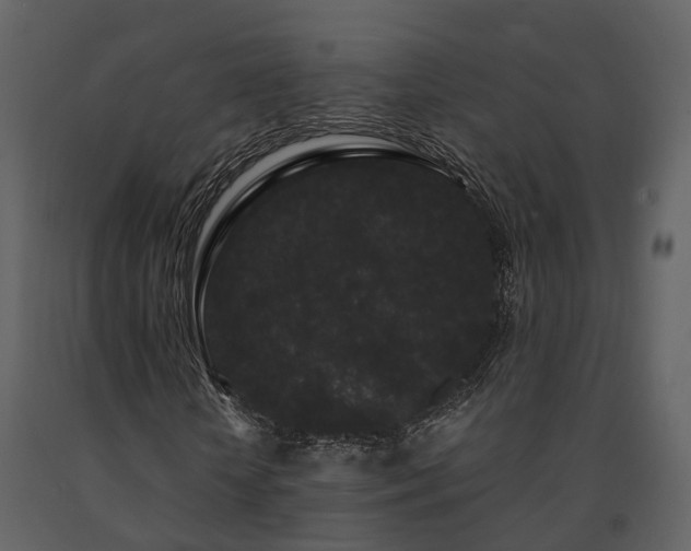 X0000091730818200708241410