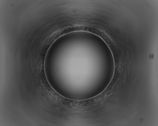 X0000091730821200708241410