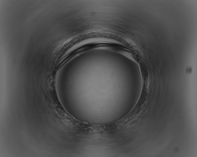 X0000091730822200708241410