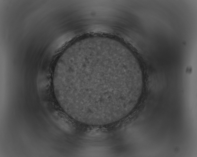 X0000091730824200708241410