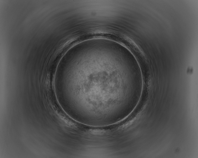 X0000091730825200708241410