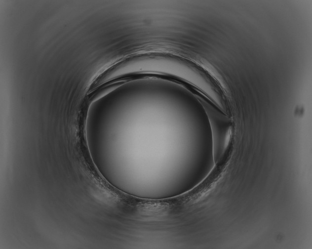 X0000091730826200708241410