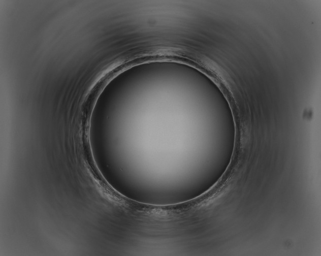 X0000091730827200708241410
