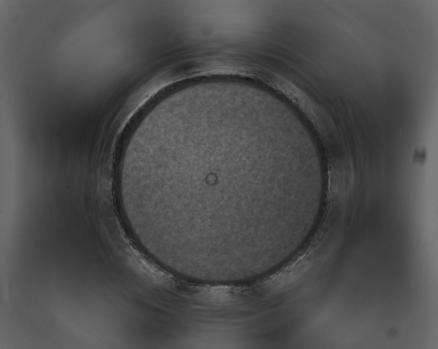 X0000091730828200708241410