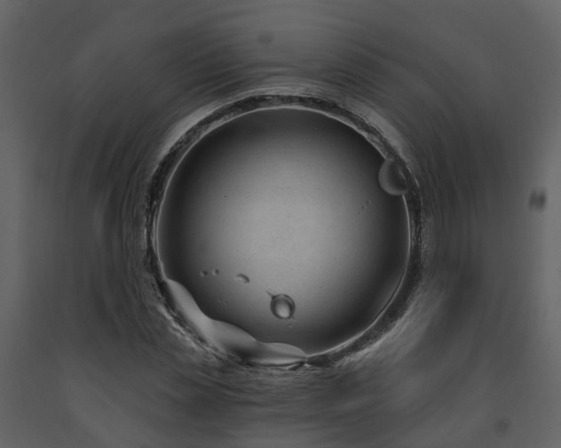 X0000091730829200708241410