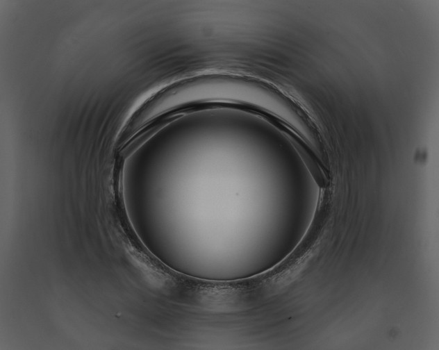 X0000091730830200708241411