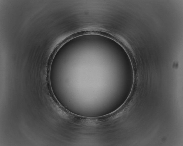 X0000091730831200708241411