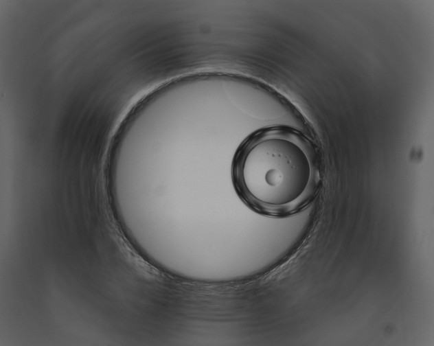 X0000091730832200708241411