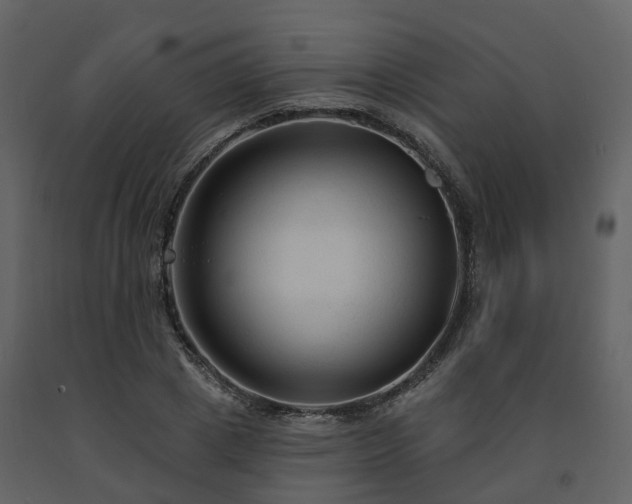 X0000091730833200708241411