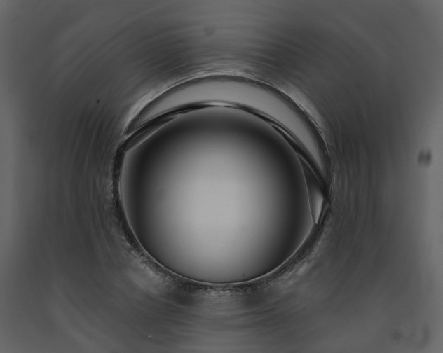 X0000091730834200708241411