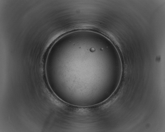 X0000091730835200708241411