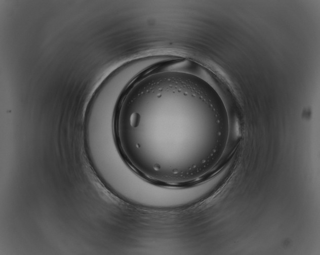 X0000091730836200708241411