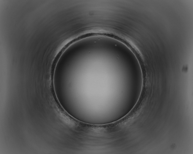 X0000091730837200708241411
