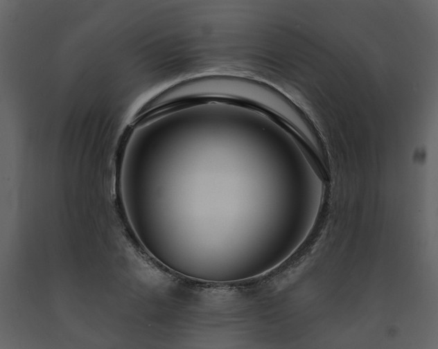 X0000091730838200708241411