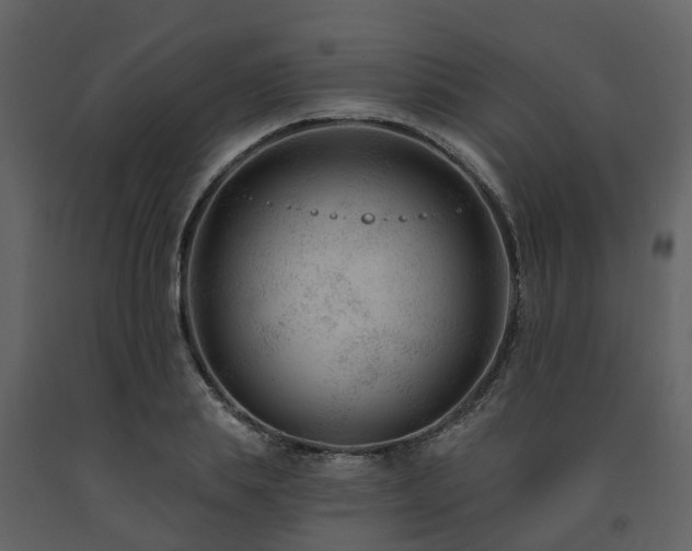 X0000091730839200708241411