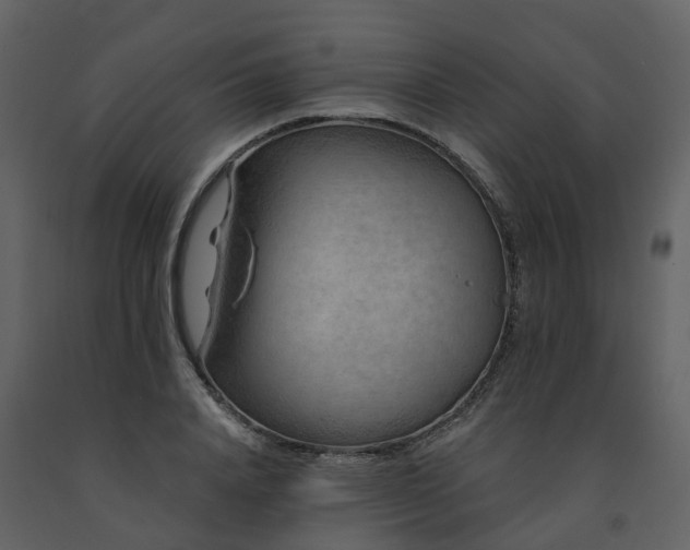 X0000091730840200708241411