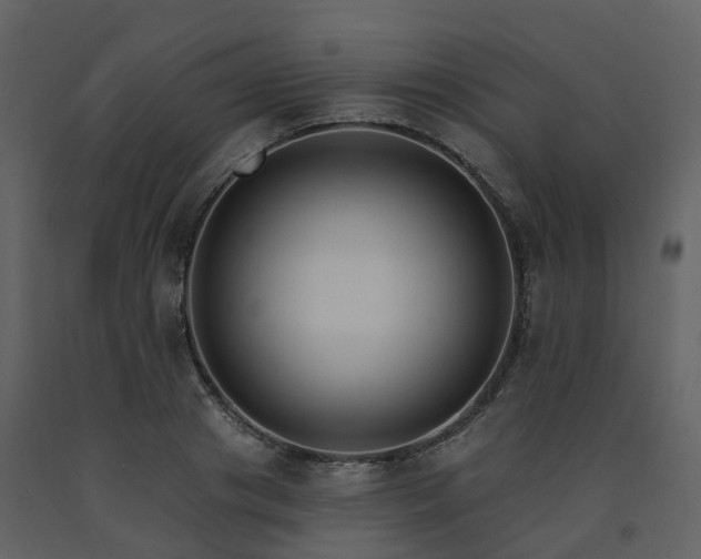 X0000091730841200708241411