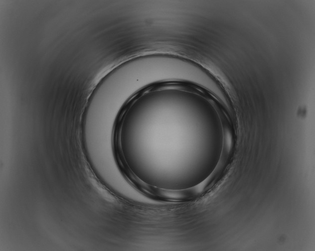 X0000091730842200708241411
