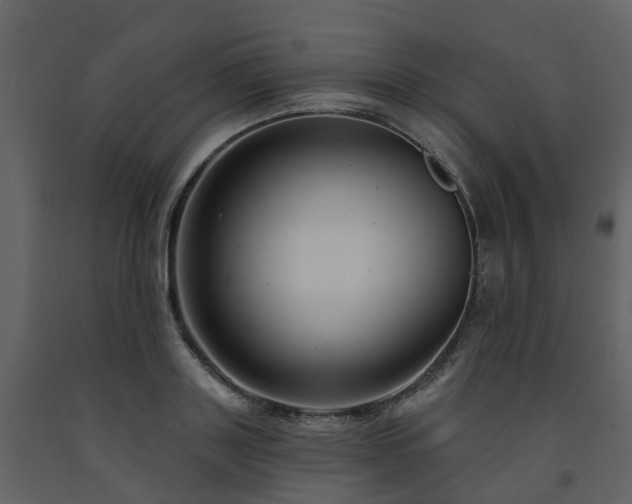 X0000091730843200708241411