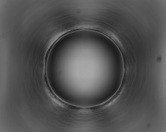 X0000091730844200708241411