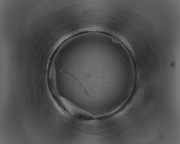 X0000091730845200708241411
