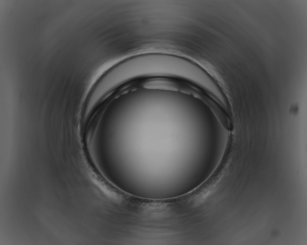 X0000091730846200708241411