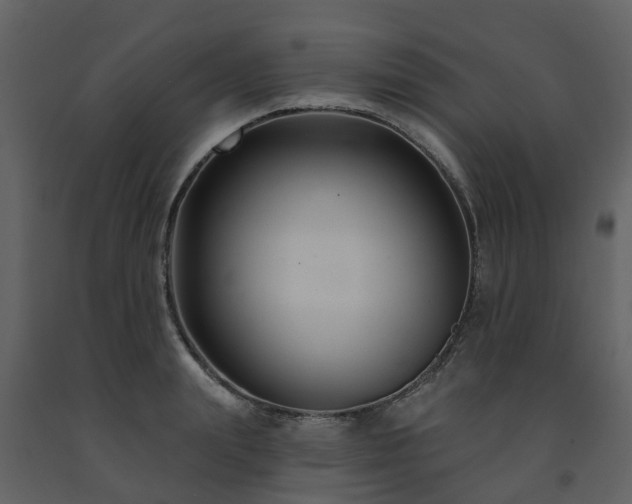 X0000091730847200708241411