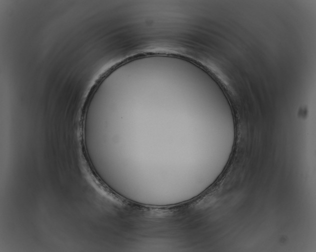 X0000091730848200708241411