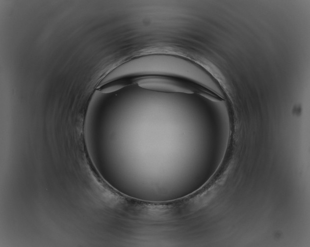 X0000091730849200708241411