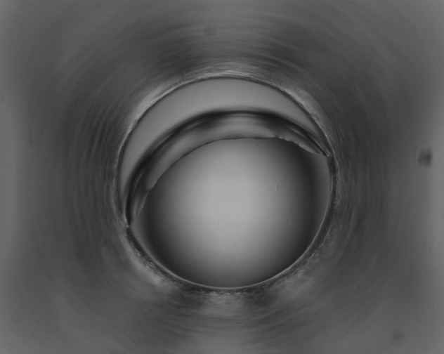 X0000091730850200708241411