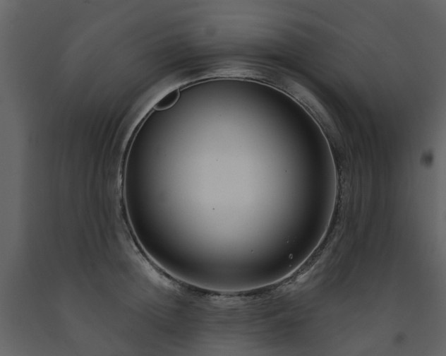 X0000091730852200708241411
