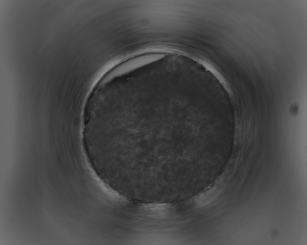 X0000091730853200708241411