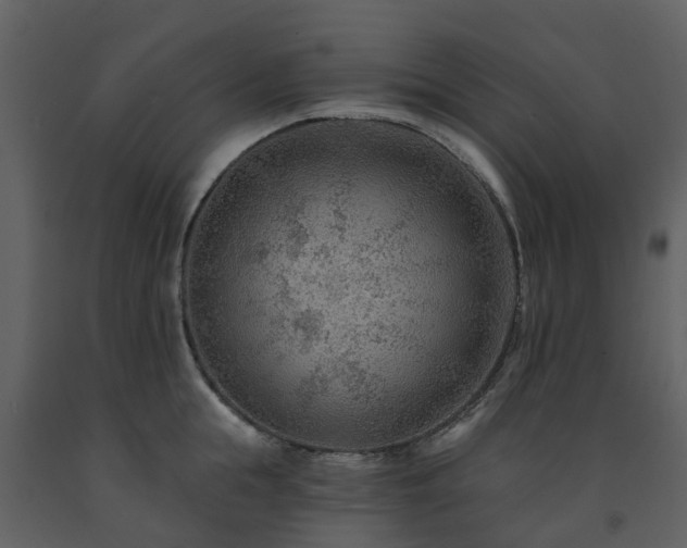 X0000091730855200708241411