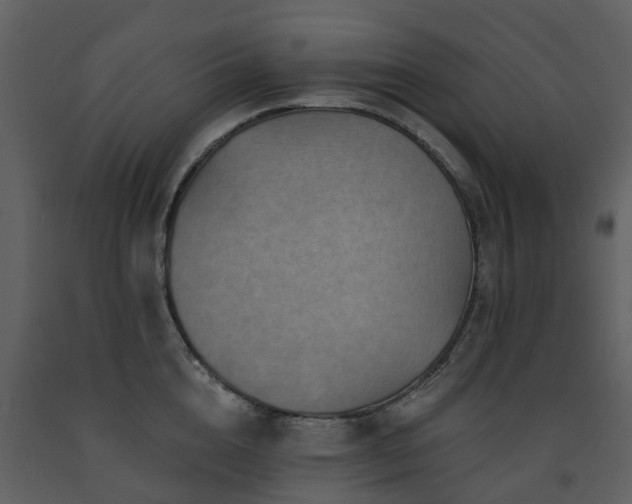 X0000091730856200708241411