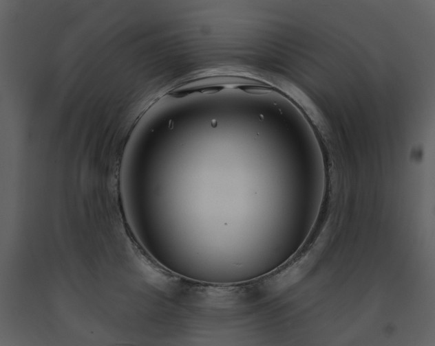 X0000091730857200708241411