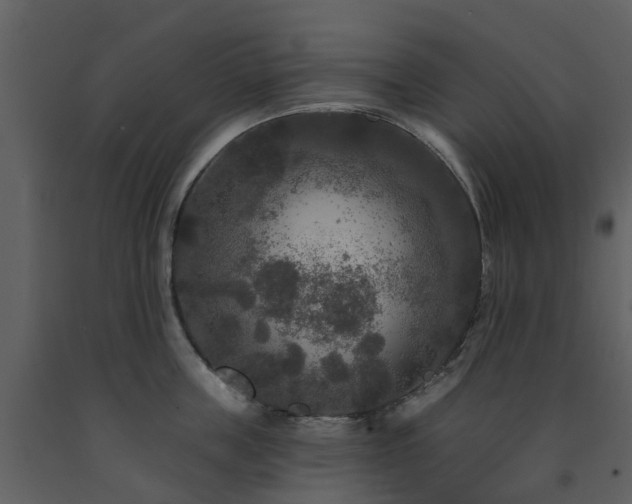 X0000091730859200708241411