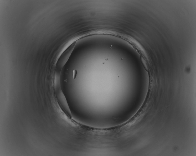 X0000091730860200708241411