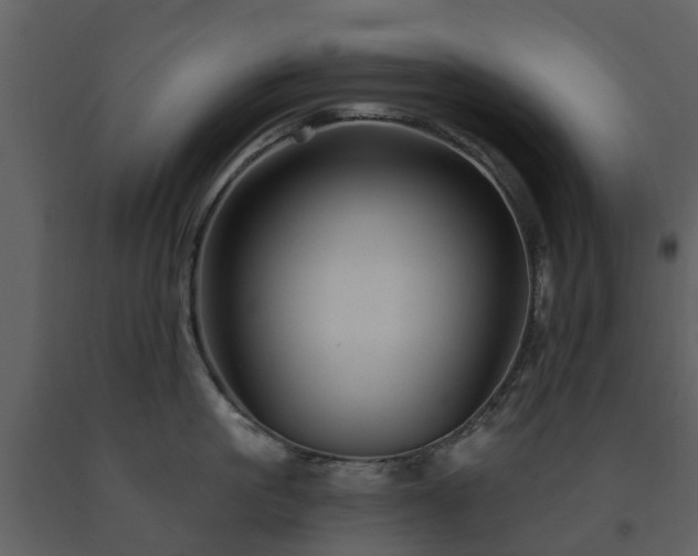 X0000091730861200708241411