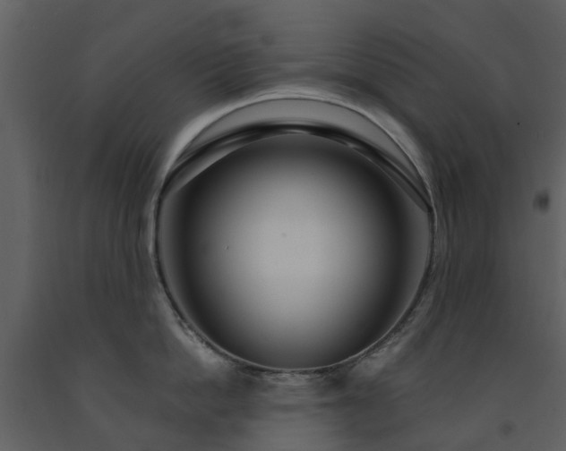 X0000091730862200708241411