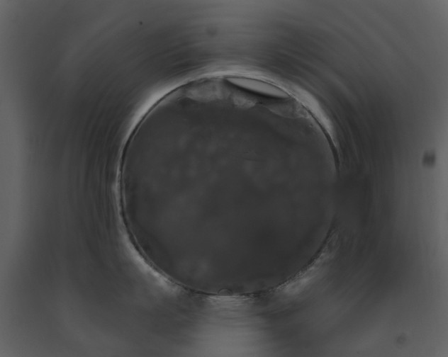 X0000091730863200708241411