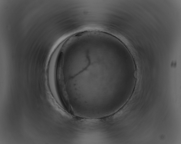 X0000091730864200708241411